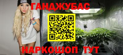 тгк Новодвинск