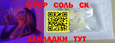 тгк Новодвинск