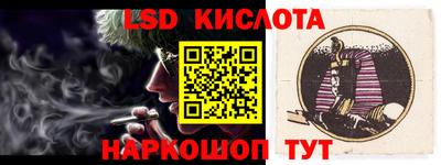 тгк Новодвинск