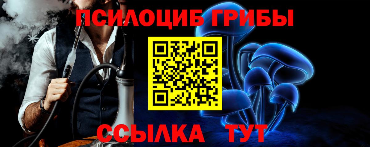 Урус-Мартан  Псилоцибиновые грибы MAGIC MUSHROOMS  Вход с VPN 